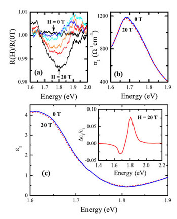 HoMnO3 Magneto-optical response